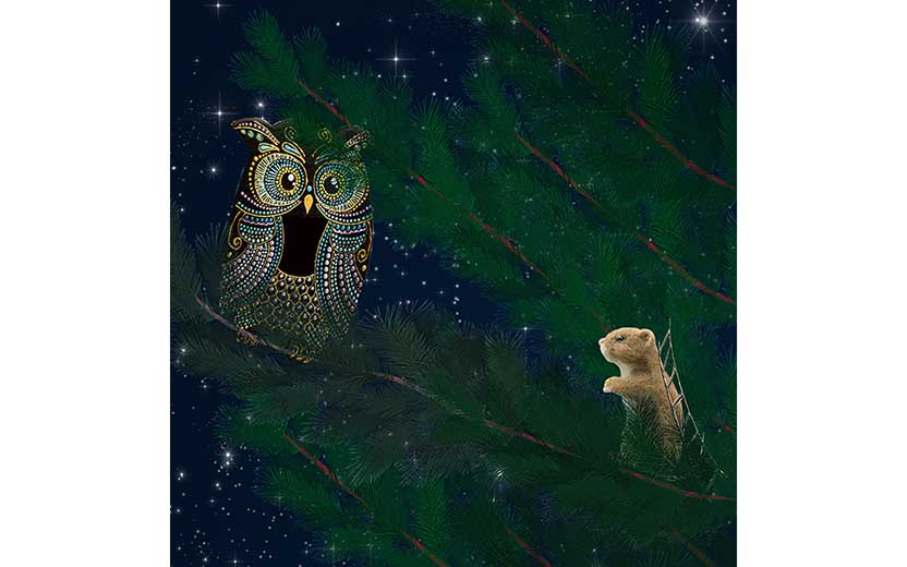 Book illustration